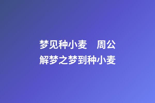 梦见种小麦　周公解梦之梦到种小麦